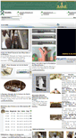 Mobile Screenshot of mosqueetouba.org
